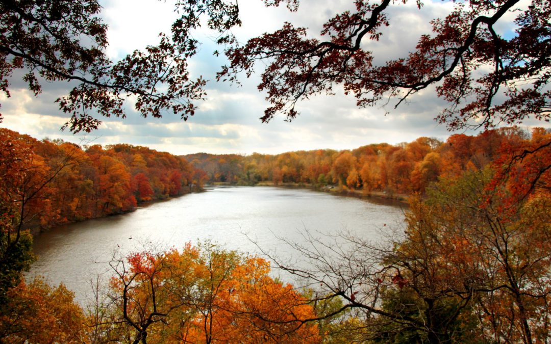 5 Locations You Must See By Boat This Autumn